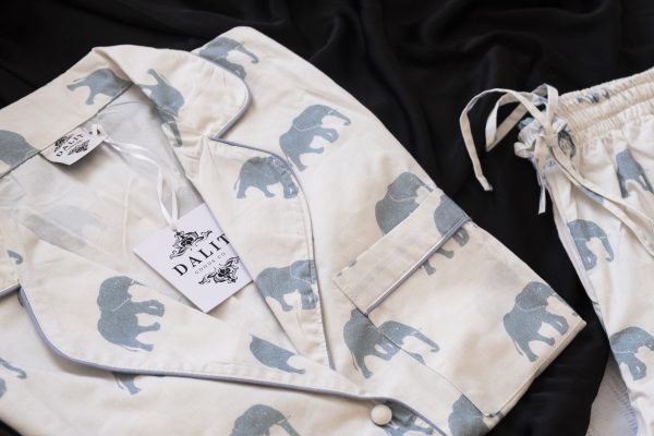 lifestyle-elephant2